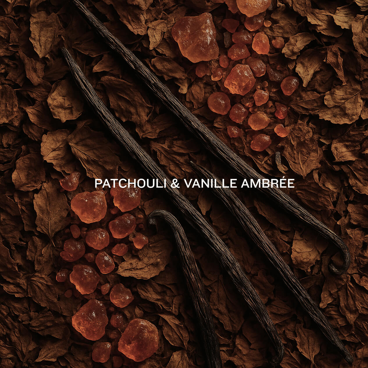 [Backup hors seflnamed] Le savon parfumé